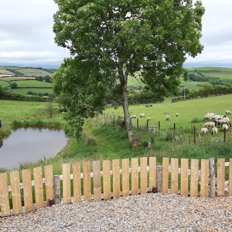 Eco Accommodation Cornflower Craven Arms Exterior photo